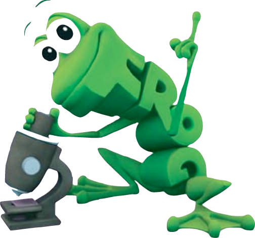 Wordworld Is Informed By Research - Word World Pbs Frog (504x470)