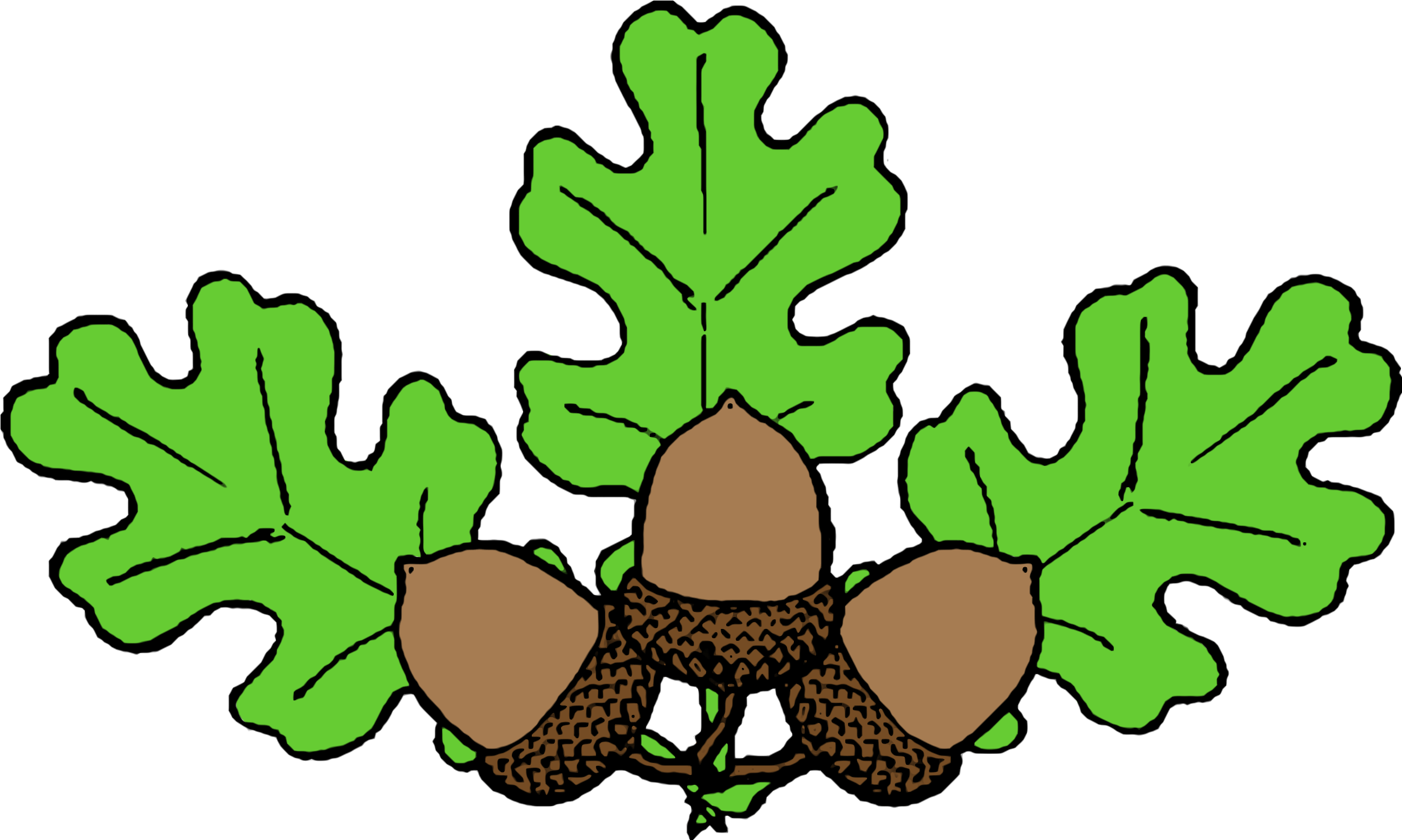 Our Curriculum - Oak Leaf Clip Art (2697x1666)