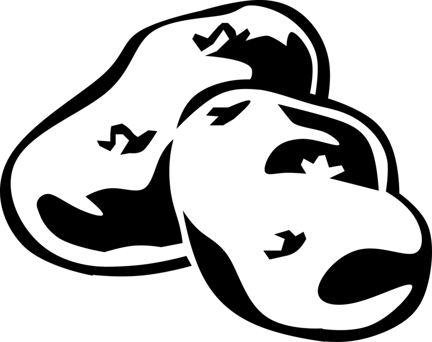 Vector Illustration Of Cultivated Starchy Edible Tuber - Low Carb Diet Handbook (884x700)