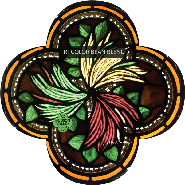 Tri-color Bean Blend - Bean (800x600)