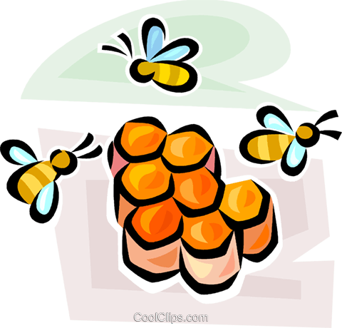 Honeybee And Honeycomb Royalty Free Vector Clip Art - Honey Bee Clip Art (480x460)
