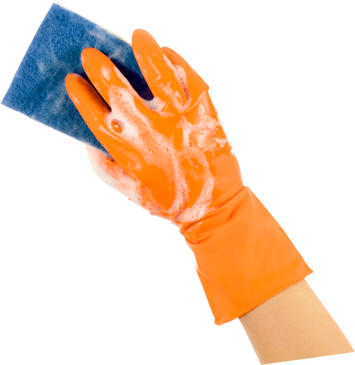 Almei Via Image - Cleaning Hand Png (722x743)
