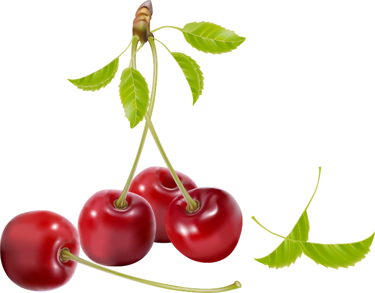 Yogurt Cherry Royalty-free Clip Art - Vector (730x571)