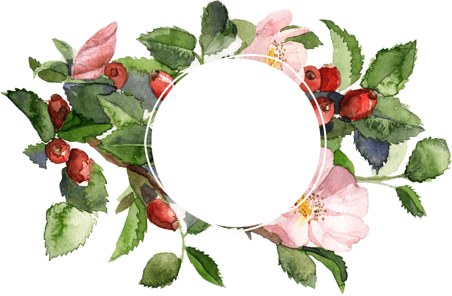 Organic Store - - Logo Hoa Lá (912x597)