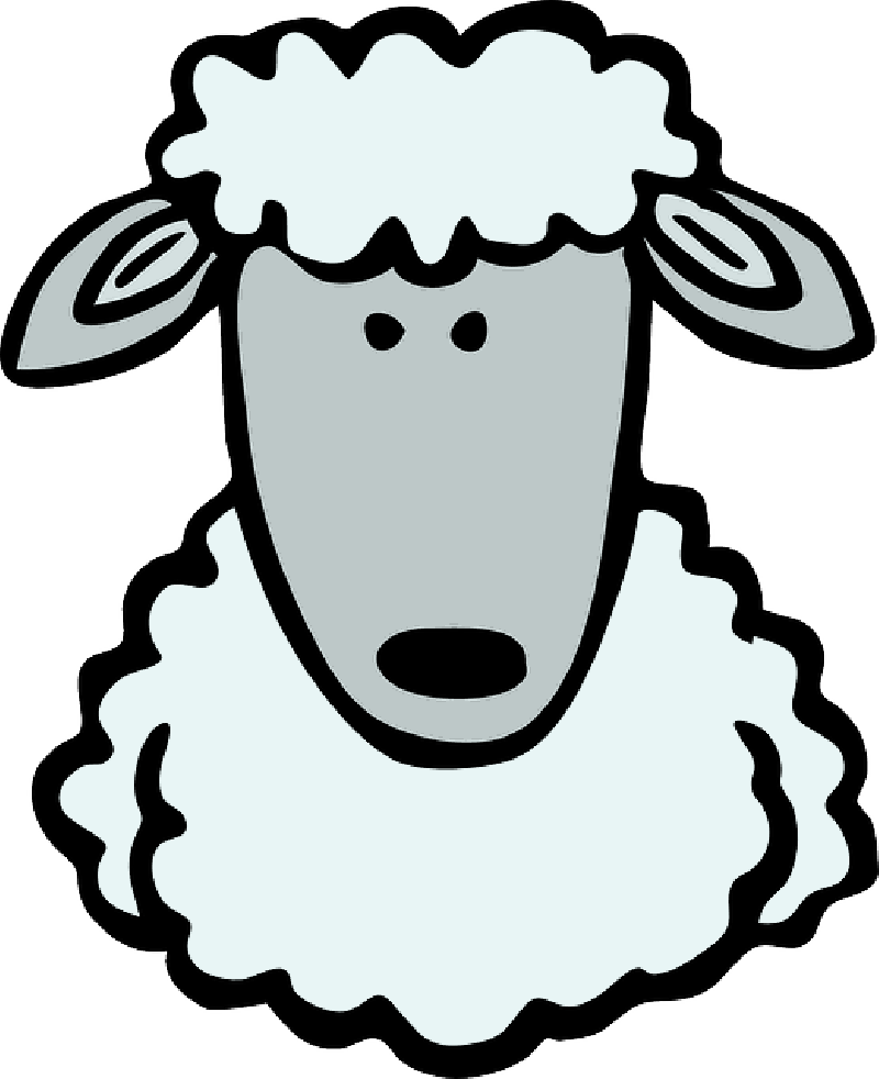 Head, Face, White, Cartoon, Barn, Farm, Sheep, Animal - Draw A Sheep Face (800x982)