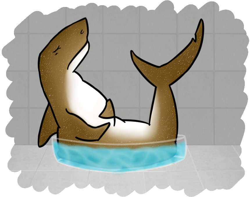 Bloated Shark Belly Pt1 By Cannibalisticfawn - Bloating (864x729)