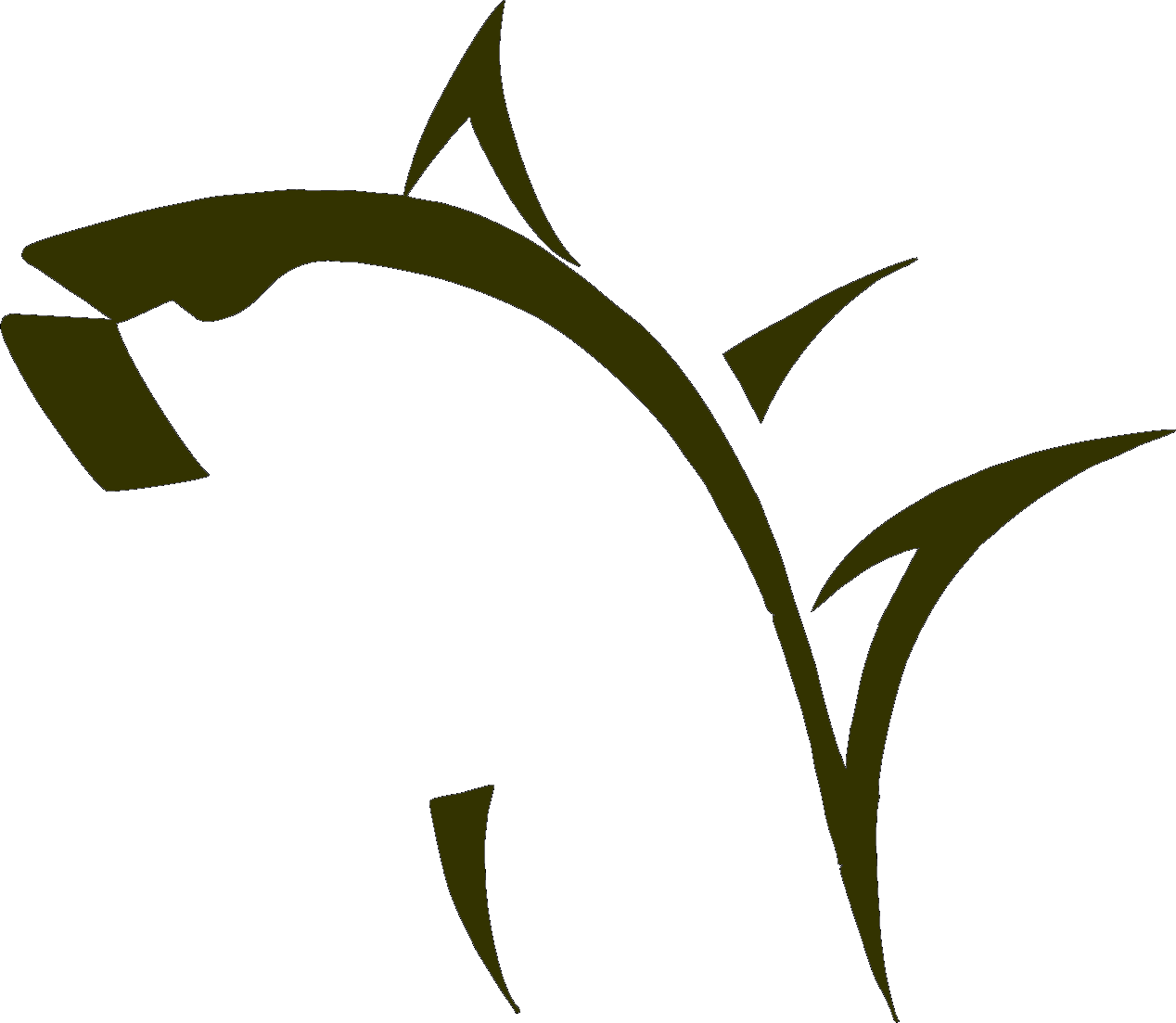 Fish Graphics - Fishing Logos (1268x1103)