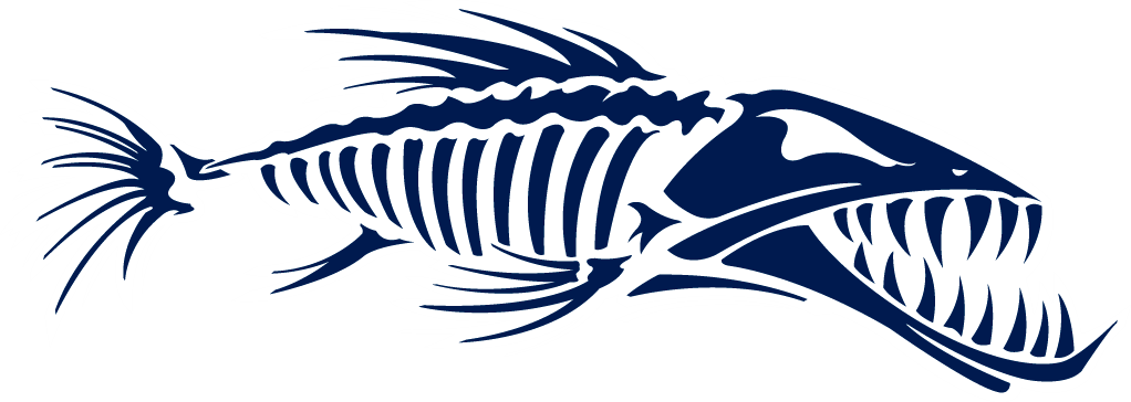 Barracuda Clipart Fish Pencil And In Color - Barracuda Clipart (1022x364)