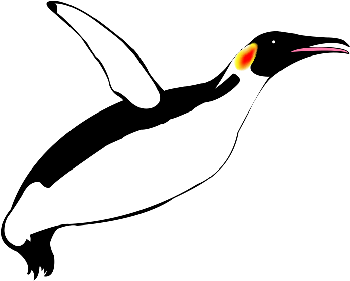 Clip Art Details - Penguin (1000x625)