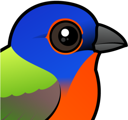 About The Painted Bunting - Cartoon Painted Bunting (440x440)