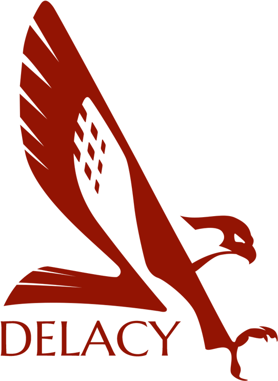 Faulcon Delacy - Elite Dangerous Falcon Delacy (800x800)
