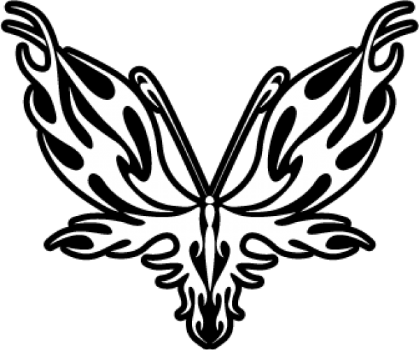 Stickers Car White And Black (600x501)