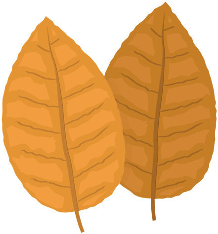 Yellow Tobacco Leaves Illustration - Tobacco Leaf Cartoon Png (512x512)