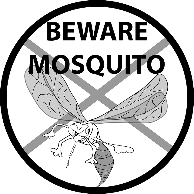 Healthcare Fixed, On To Climate Change - Mosquito Clip Art (640x640)