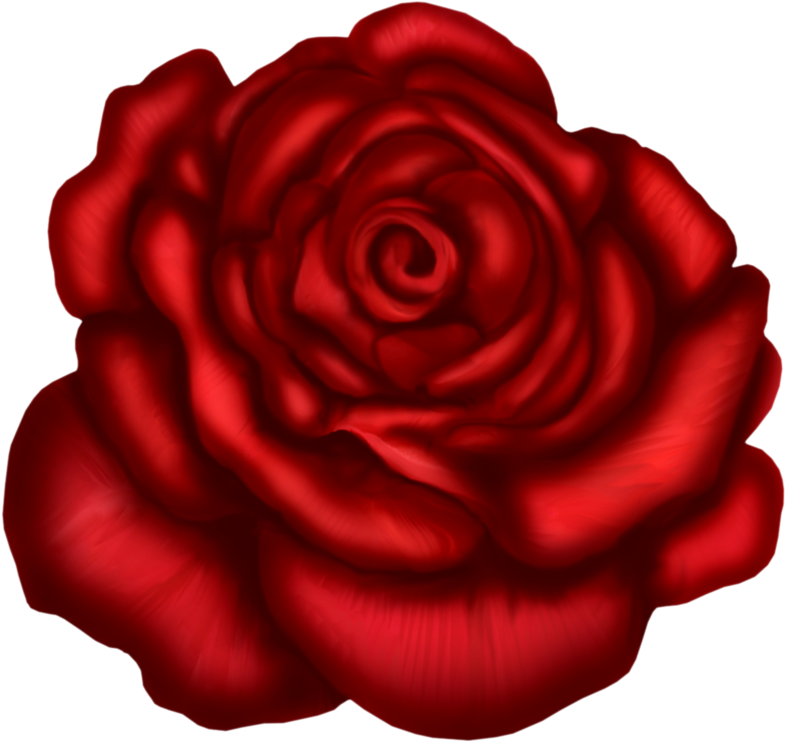 Red Rose Art Picture - Floribunda (899x806)