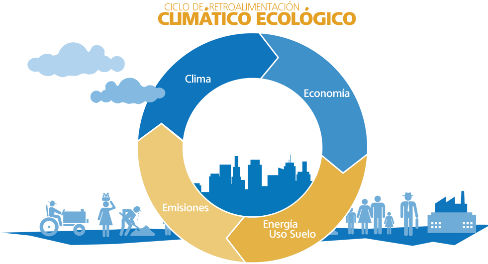 Cambio Climático - Epic Quail Pillow Case (995x549)