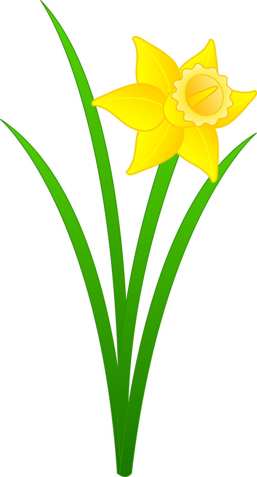 Hello And Happy St - Daffodil Flower Clip Art (3891x7231)