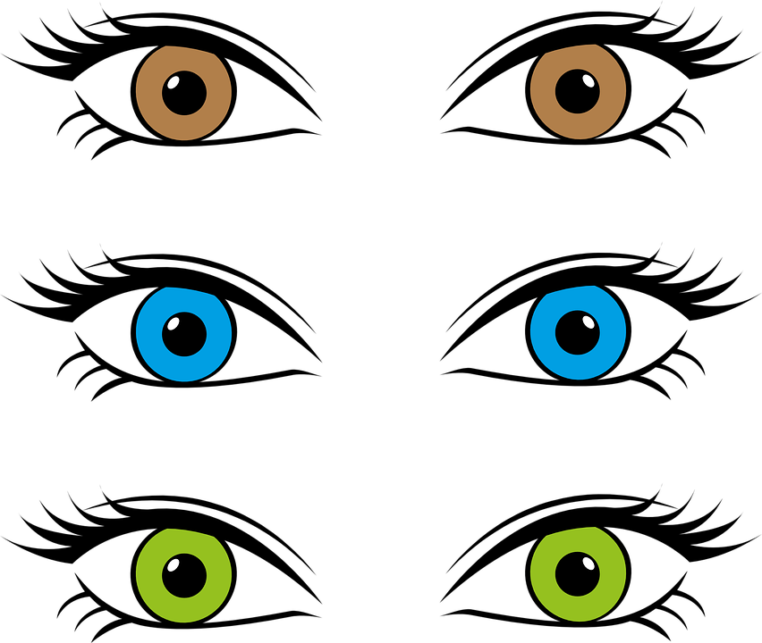 Collection Of Lizard Eyeballs Cliparts - Three Eye Colors (852x720)