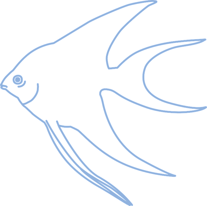 Angel Fish Cliparts 24, Buy Clip Art - Angel Fish Cliparts 24, Buy Clip Art (723x720)