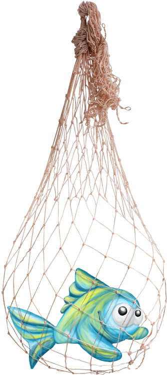 58 - Fish In A Net Clip Art (418x800)