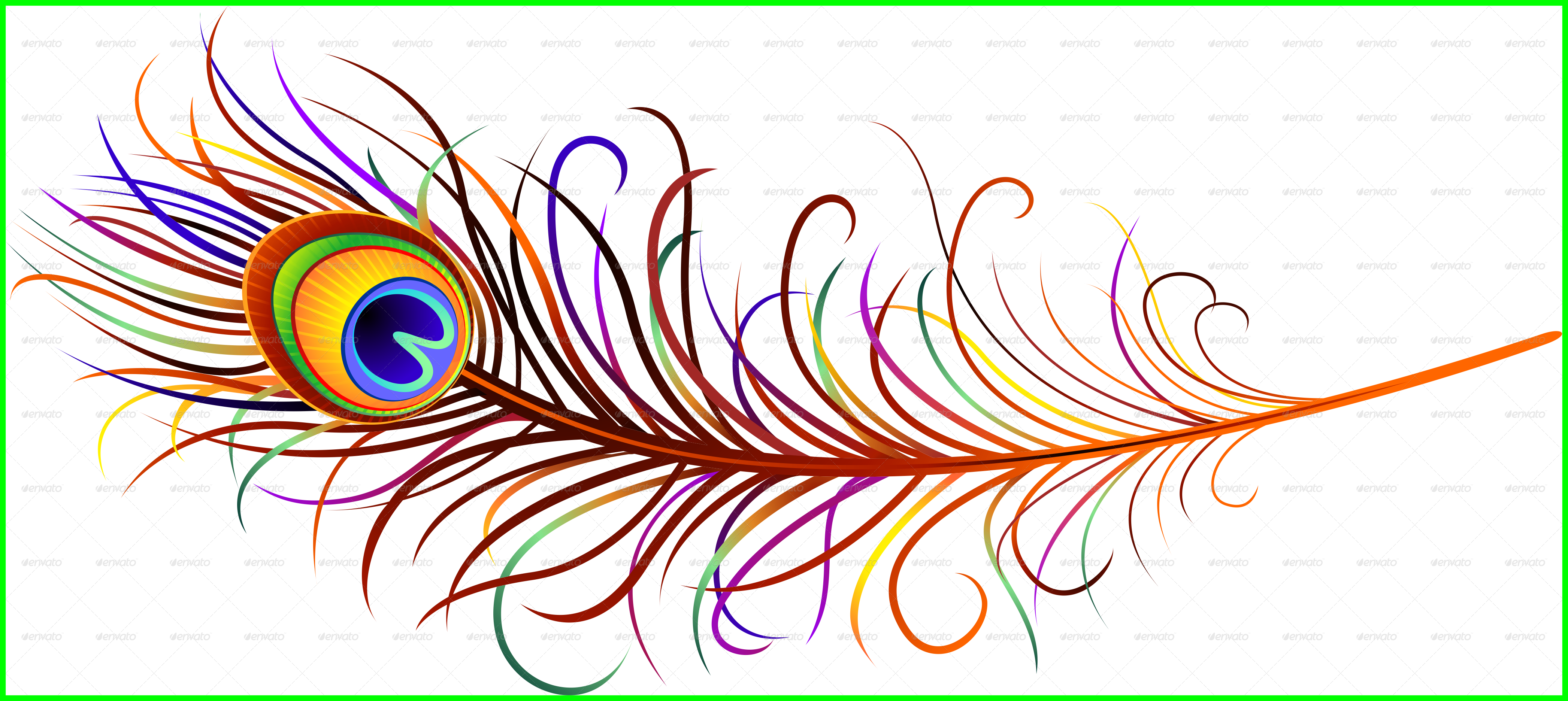 The Best Peacock Feather Png Transparent All Clip Arts - Peacock Feather Image Png (4186x1872)