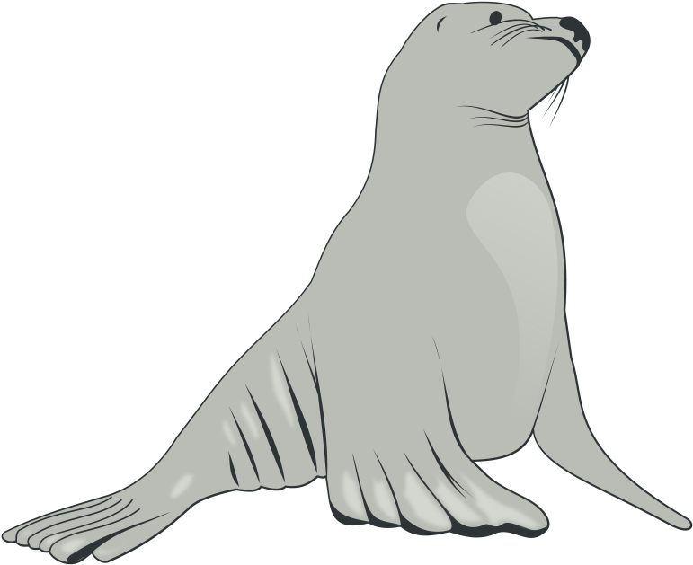 Free Clipart Sea Lion Valessiobrito Rh 1001freedownloads - Sea Lion Clipart (800x648)