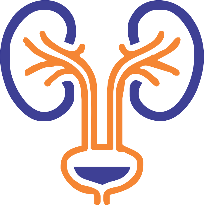 We Do Our Best To Bring You The Highest Quality Cliparts - Urology Png (698x700)