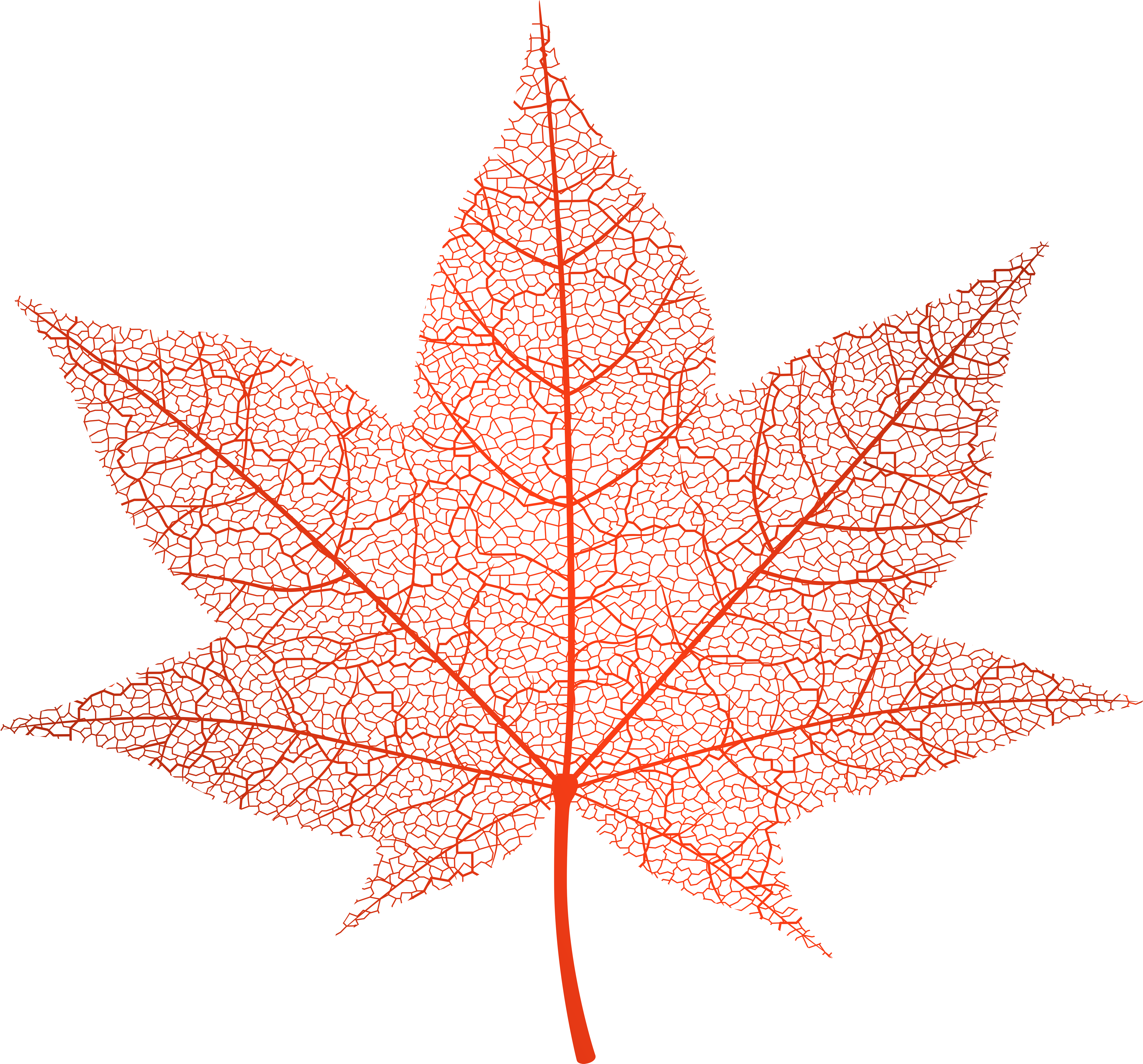 Gallery Of Maple Leaf Green Png Clip Art Image Png - Pink Autumn Leaf Png (6000x5588)