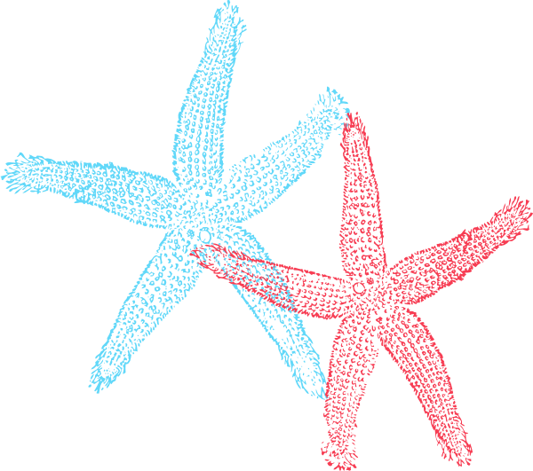 Starfish Clipart Border - Gold Or Silver Metallic Shoe Upgrade, Gold Silver Bridal (600x531)