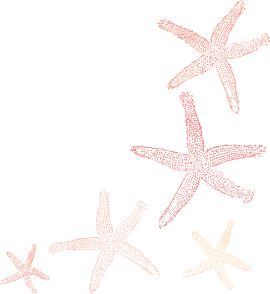 Starfish Clipart Elegant - Fish Clip Art (546x595)