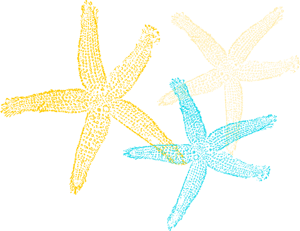 Starfish Prints Png - Sea Star Vector Png (600x461)