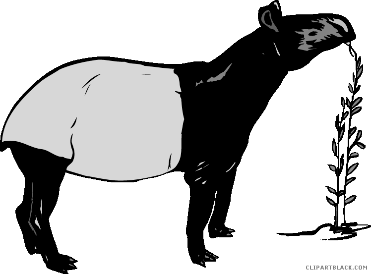 Capybara Clipart Black And White - Clip Art (750x553)