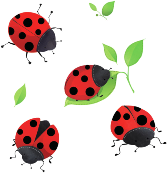 810fb22a - Ladybug (800x830)