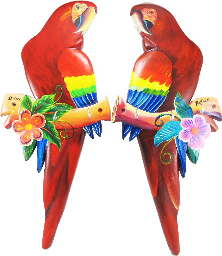 Scarlet Macaw Clipart Transparent - Scarlet Macaw (567x528)