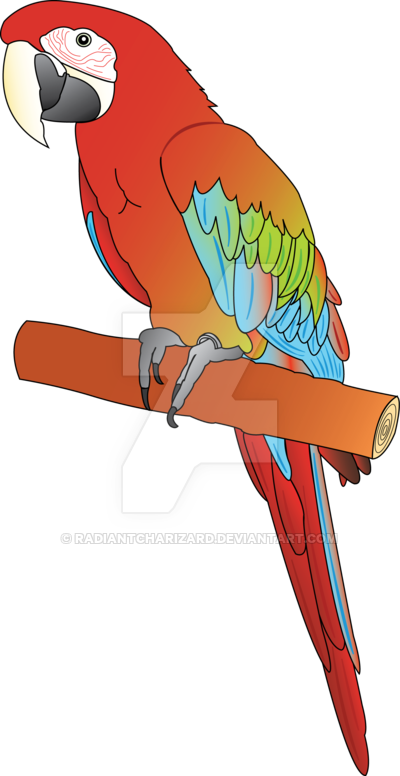 A Red Macaw Parrot Pointing Or - Clip Art (400x776)