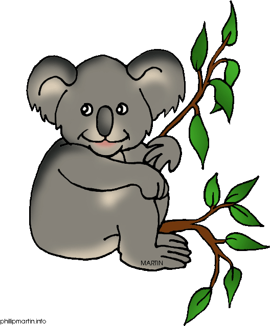 Mammal Clipart Koala Bear - Koala Parts Of The Body (573x648)