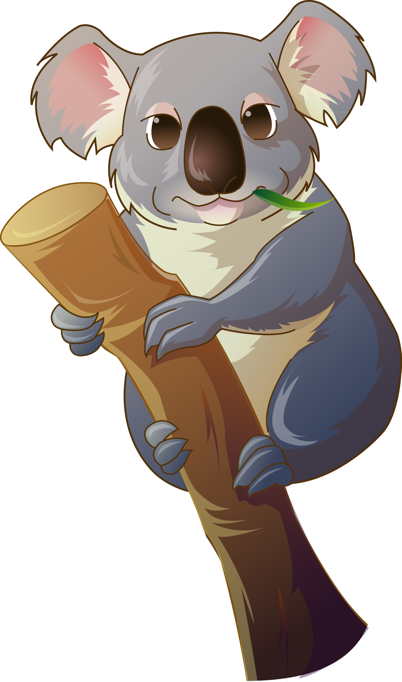 Koala Bear Clip Art - Clipart Koala Bear (1369x2320)