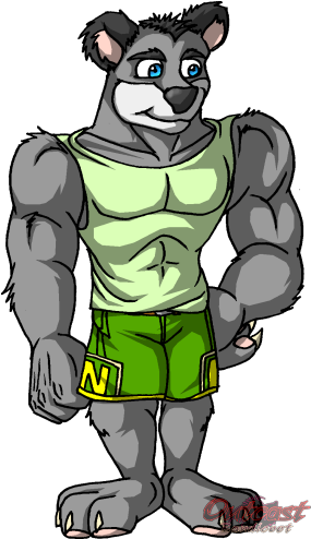 Koala Kong Is To Activision - Koala Kong Outcast Bandicoot (293x500)