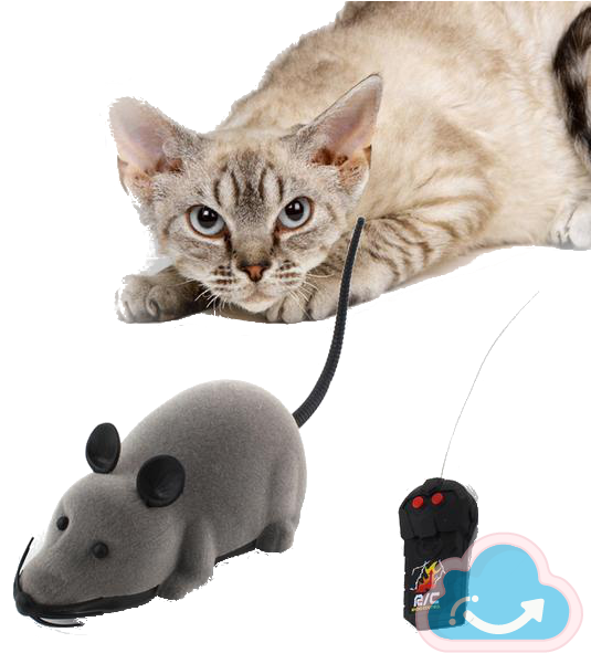 Remote Control Mouse Cat Toy - Cherry's Pet Hot Sale! 2017 New Cat Toy Wireless Remote (538x600)