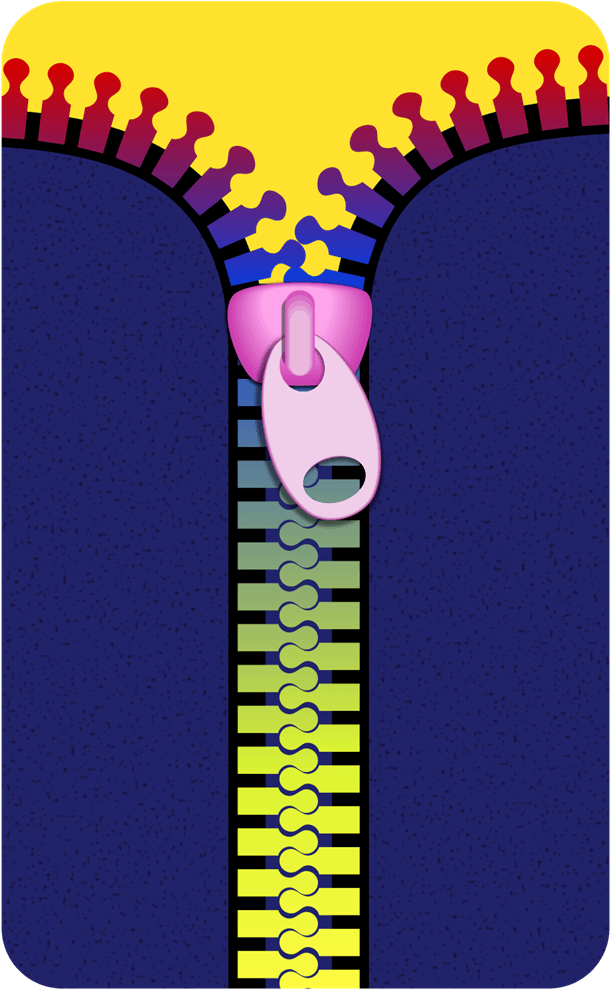 Clipart Zipper - Free Clipart Zipper (800x1174)