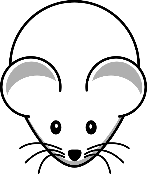 No Tail - Mouse Drawing Easy (504x595)