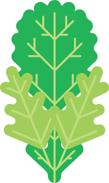 The Superfoods That Power Subi - Emblem (358x600)