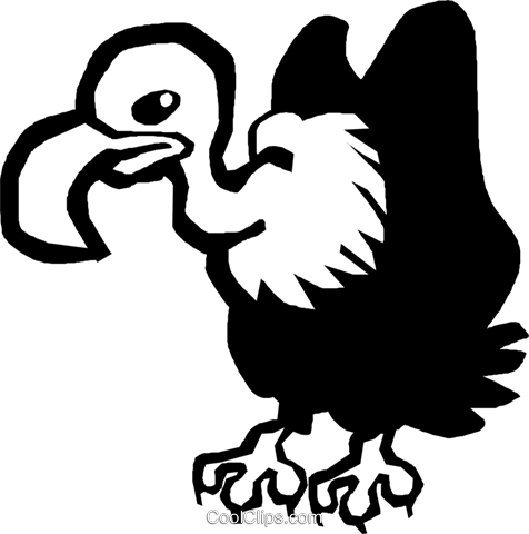 Vulture - Abutre Png (476x480)