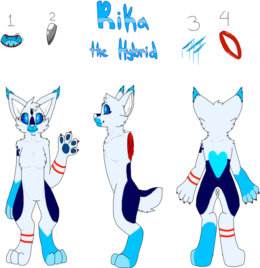 [ref Sheet] Rika The Hybrid By Akira The Wolfberry - Cartoon (894x894)