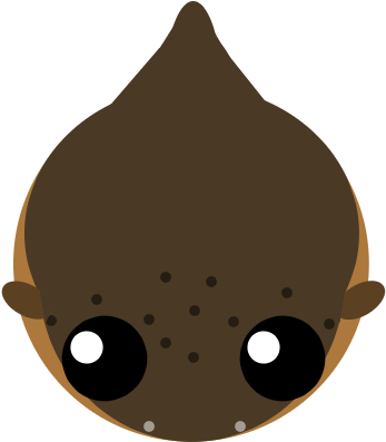 Electric Eel - Electric Eel (500x500)