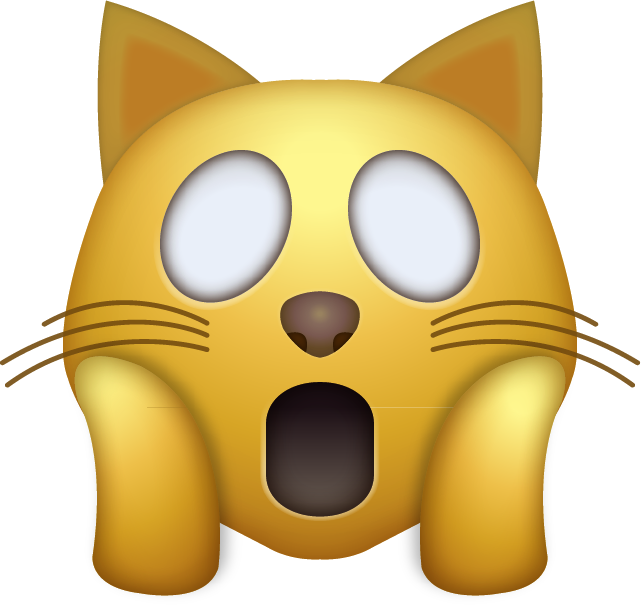 Omg Cat Iphone Emoji Jpg - Shocked Cat Emoji Png (641x609)