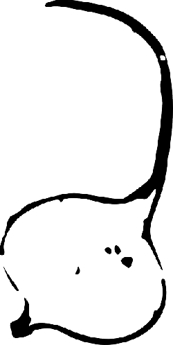 Variety - Jicamas Para Dibujar (250x498)