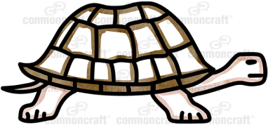 Turtle - Box Turtle (400x400)
