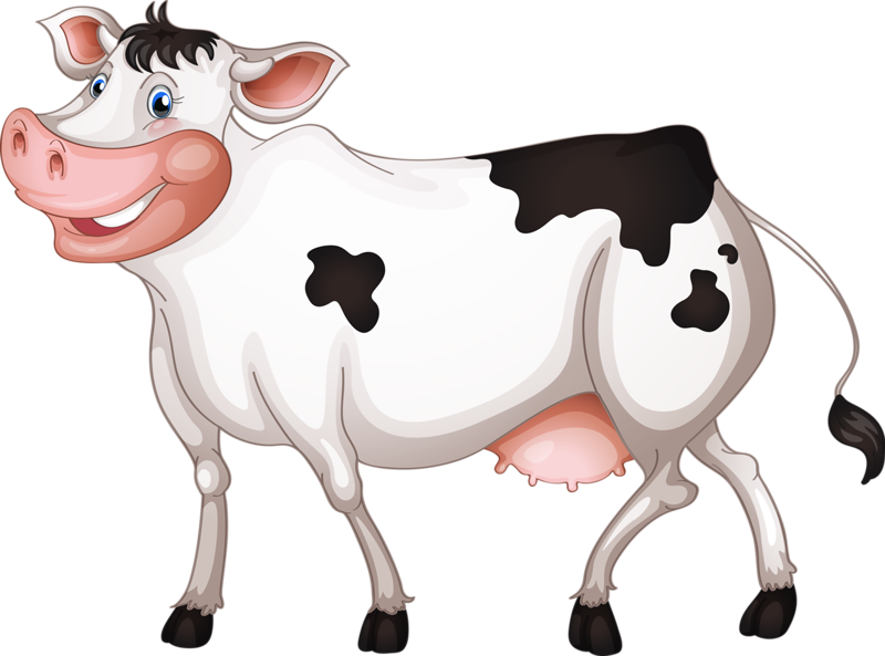 Cattle Royalty-free Clip Art - Cartoon Cow With Transparent Background (800x593)