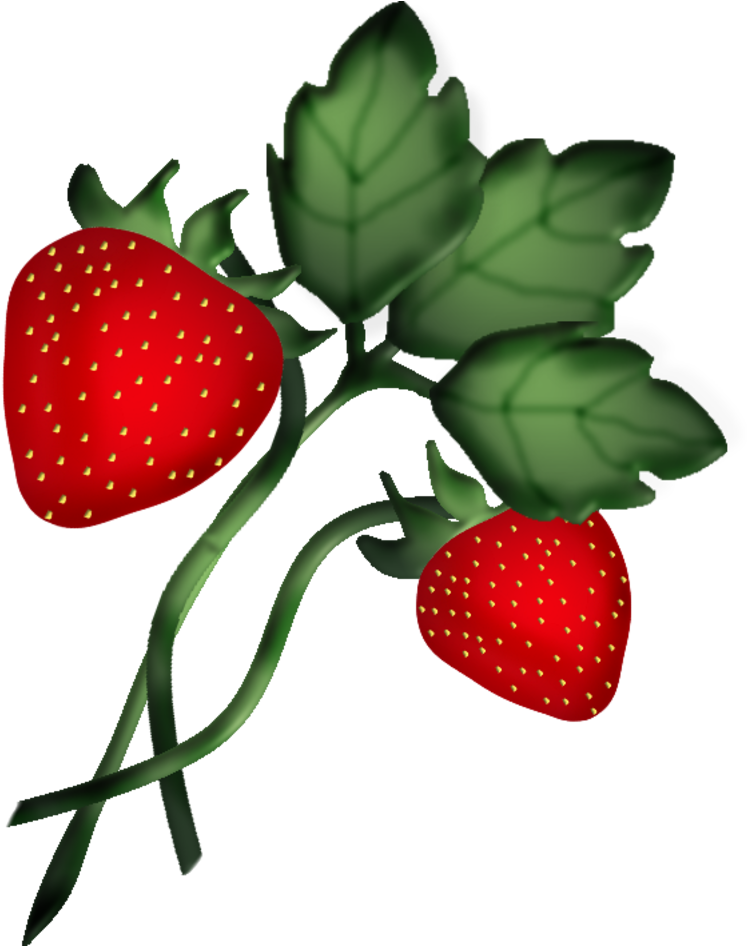 Strawberries Clip Art - Strawberry (800x945)